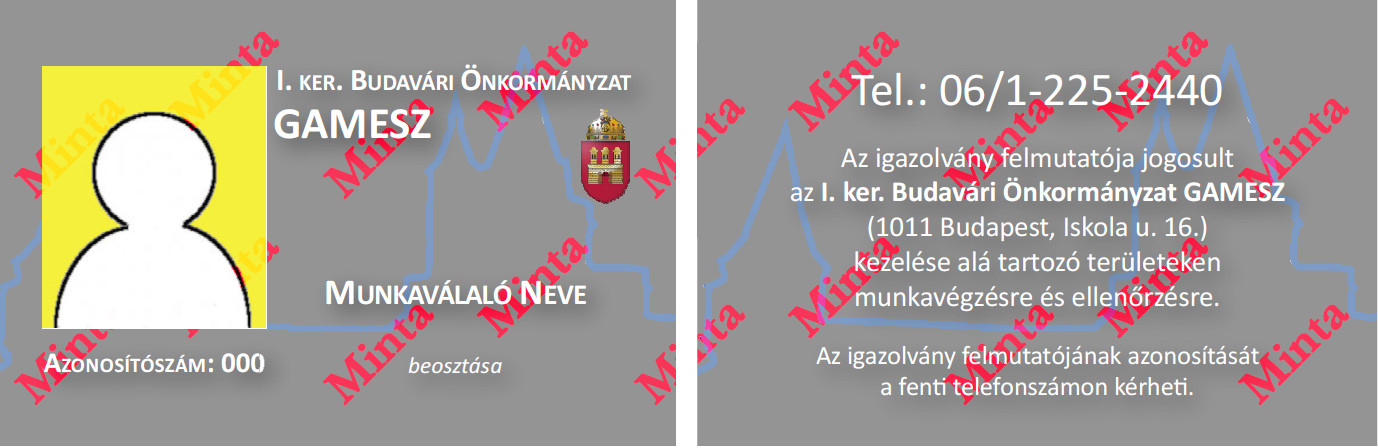 Azonosítókártya minta