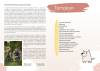 budavari_kisokos_2025_web_spread_page-0002